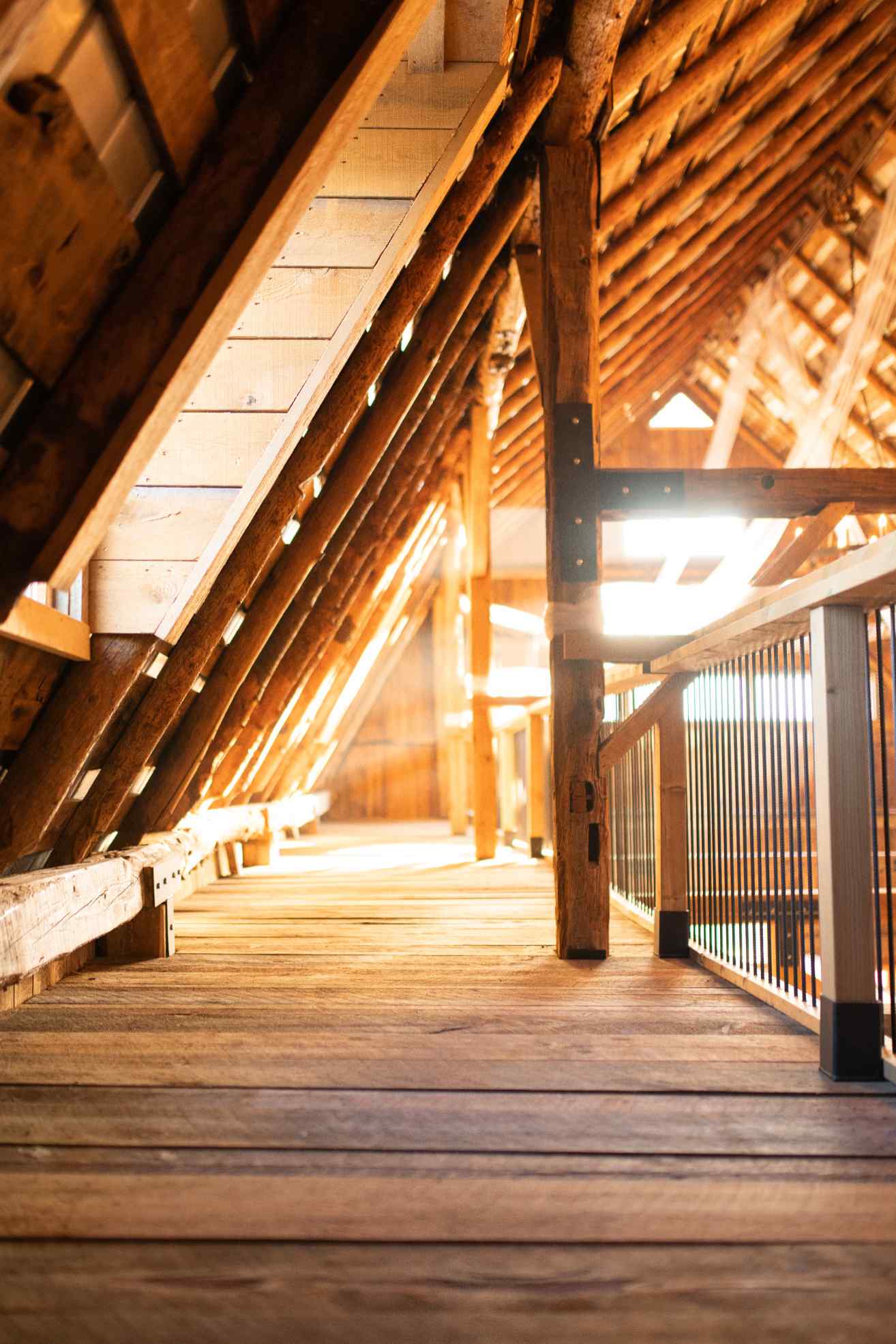 Wedding at Oak & Pines